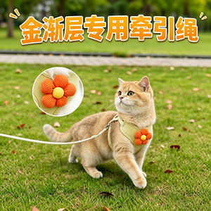 
Gold gradual layer special kitten traction rope for cats, pets and young cats to prevent breaking away from going out, harness, cat rope, I-shaped