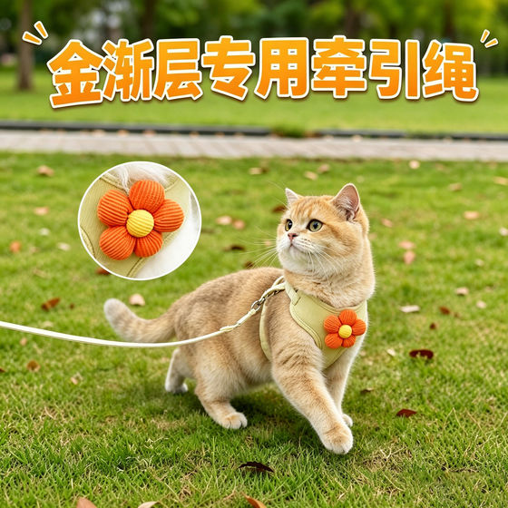
Gold gradual layer special kitten traction rope for cats, pets and young cats to prevent breaking away from going out, harness, cat rope, I-shaped