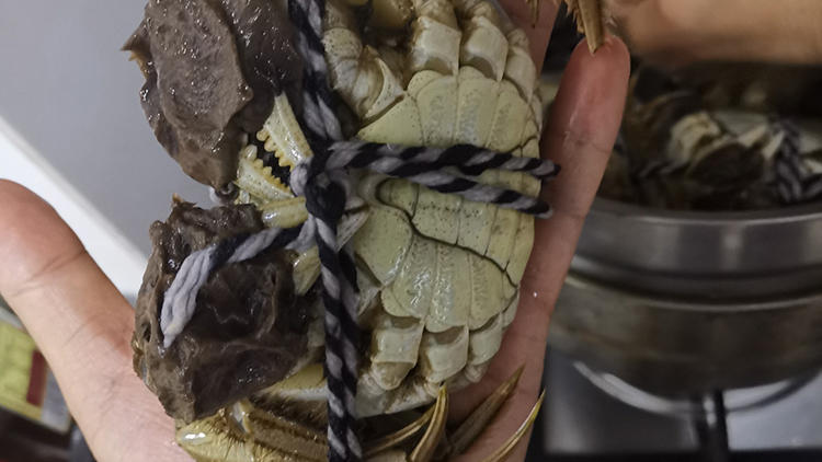 买大闸蟹记住这些,不会挑错不会买错(图1) 买大闸蟹记住这些,不会挑错不会买错(图1)