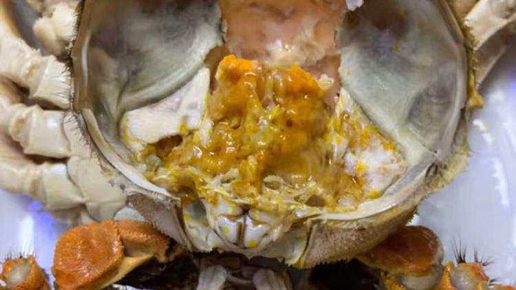 蟹香万里，终于等到你(图1)