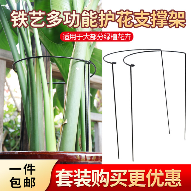 Iron gardening bracket, anti-falling support, curved monstera bird of paradise flower stand, hydrangea vegetable and fruit climbing vine support rack