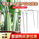 Iron gardening bracket, anti-falling support, curved monstera bird of paradise flower stand, hydrangea vegetable and fruit climbing vine support rack