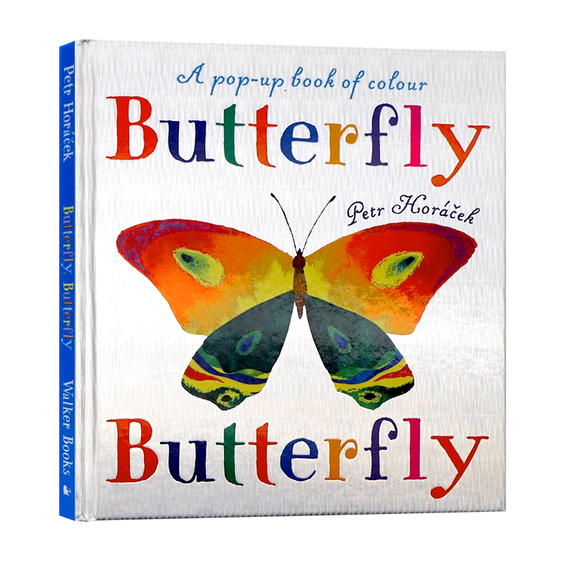 蝴蝶英文原版绘本Butterfly Butterfly A Book of Colors 儿童