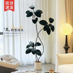 Black Diamond Rubber Tree Large Potted Plant for Living Room, Indoor Large Artificial Green Plant, Fake Flower for Office Balcony