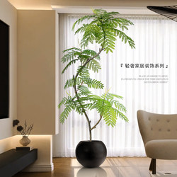 Large Floor-Standing Ornaments in the Living Room, Decorations Next to the Tv Cabinet, Indoor Fake Plant Pots, Jacaranda Artificial Green Plants