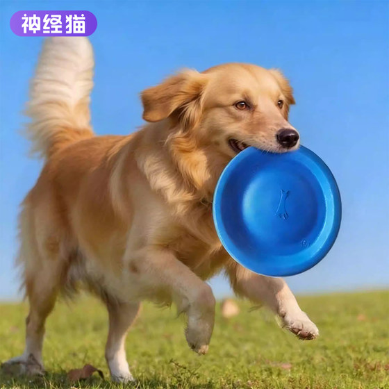 
Dog Frisbee toys can be floating on the water, Corgi, medium and large dog interactive, bite-resistant pet toy training tour