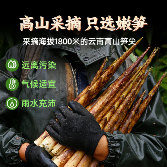 BAMBOO SHOOTS ネイビー ベスト BAMBOO SHOOTS ネイビー ベスト ベスト