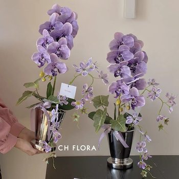 
Modern ins simple style creative ceramic vase home countertop potted container phalaenopsis anthurium flower pot