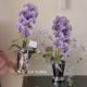 
Modern ins simple style creative ceramic vase home countertop potted container phalaenopsis anthurium flower pot