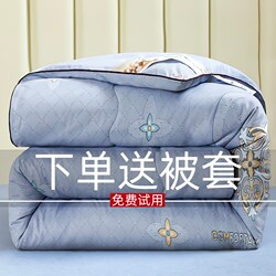 Authentic Silk Quilt 100% Mulberry Silk Cotton Spring and Autumn Quilt Thickened 5kg Winter Quilt Warm Quilt Air Conditioning Quilt Core