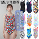 Yingfa Children's Swimsuit Girls Xiaozhong Big Body Triangle Race Professional Training Swimsuit