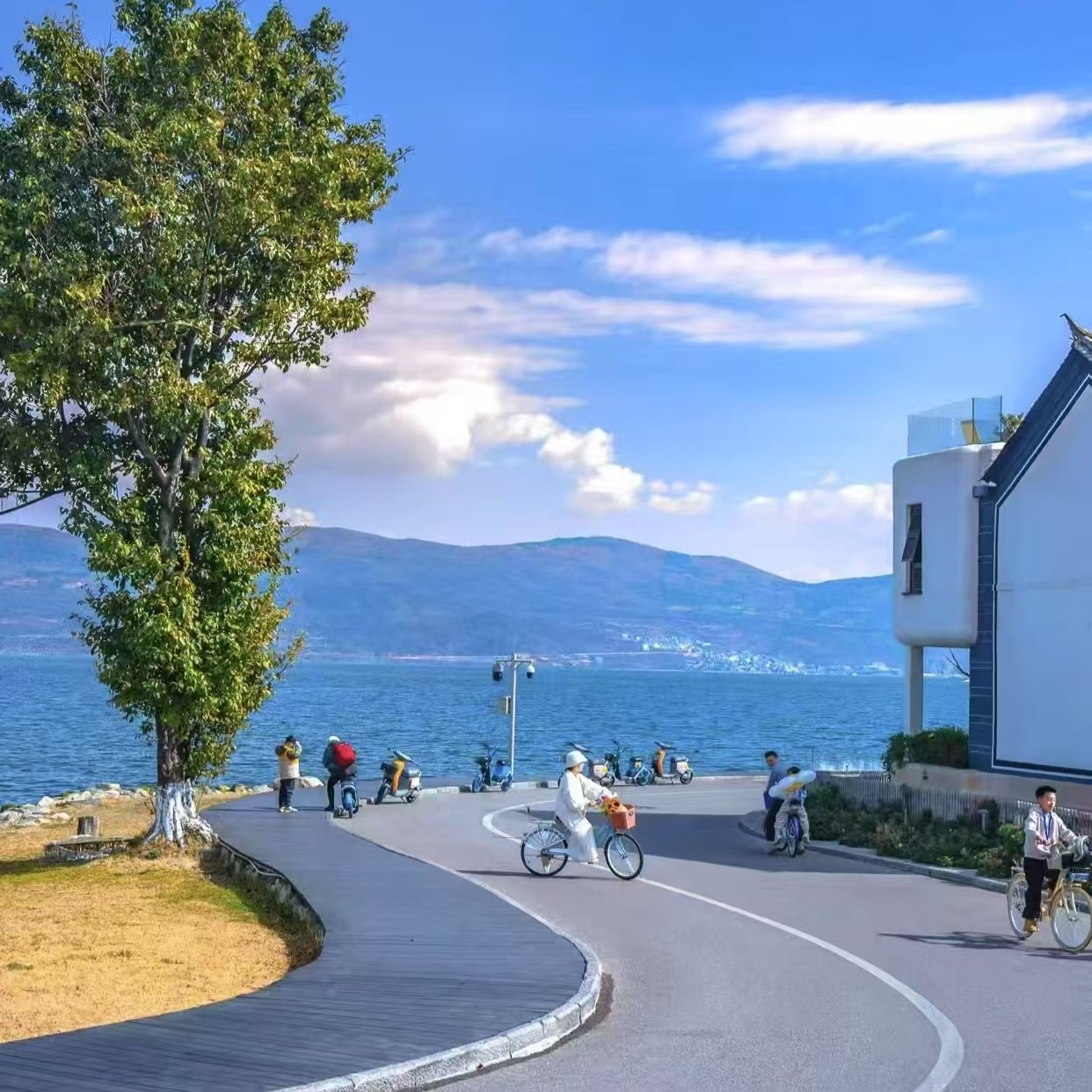 8人纯玩小团+全程4钻|云南旅游大理丽江昆明5天4晚跟团游