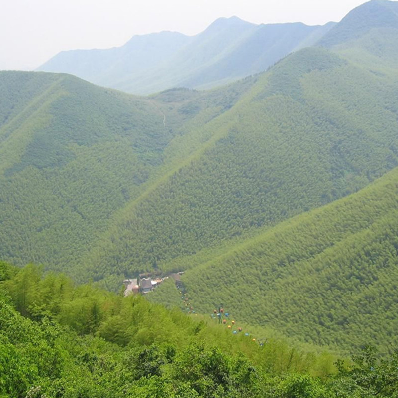 溧阳团建天目湖南山竹海+山水园2天1晚