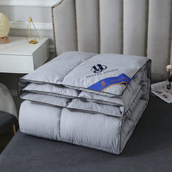 Four-Season down Quilt, Five-Star Hotel Winter Quilt, Thickened and Warm, Suitable for Guesthouses and Hotels, Quilt Core for Spring, Autumn, and Summer, Student Quilt
