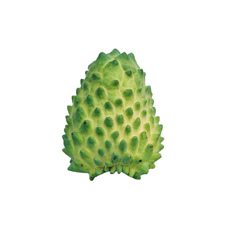 鲜水果又美味,挑出香甜可口释迦果(图13) 鲜水果又美味,挑出香甜可口释迦果(图13)