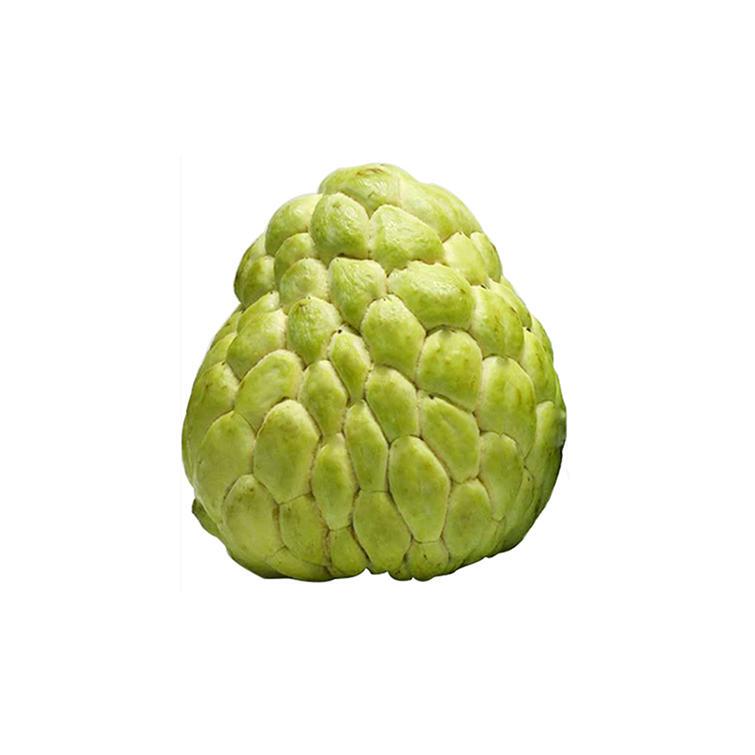 鲜水果又美味,挑出香甜可口释迦果(图7) 鲜水果又美味,挑出香甜可口释迦果(图7)