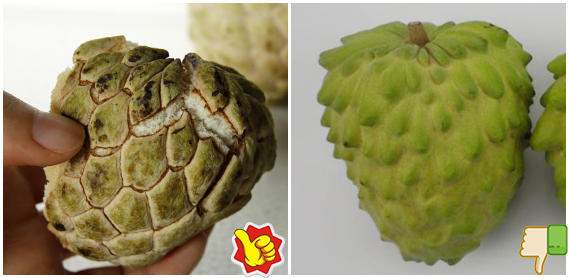 鲜水果又美味,挑出香甜可口释迦果(图5) 鲜水果又美味,挑出香甜可口释迦果(图5)