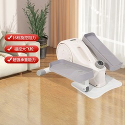 Home-Use Mini Elliptical Machine with Magnetic Control, Indoor Silent Space Walker, Multifunctional Fitness Exercise Fat-Reducing Stepper