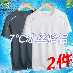 
Woodpecker summer ice silk short-sleeved T-shirt for men casual loose youth mesh sports T-shirt for men base top