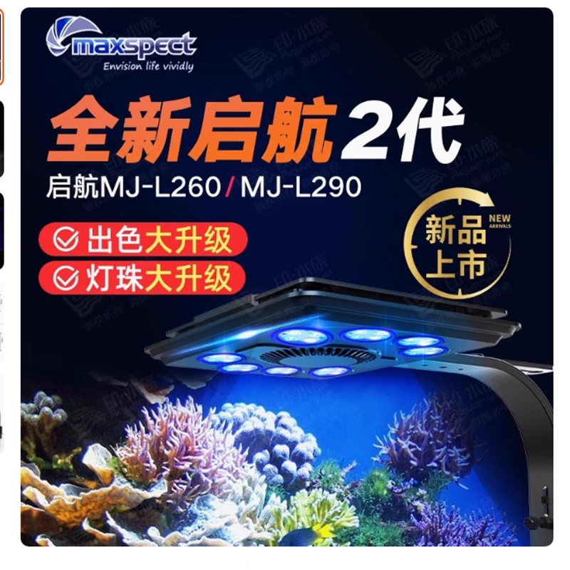 珊瑚 LED燈下令人驚奇的多彩SPS珊瑚•Orphek