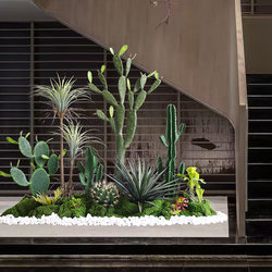 Simulated Cactus Landscaping for Indoor Landscapes, Decorative Arrangement under Stairs and at the Entrance, Artificial Plants, High-End Bionic Green Plants