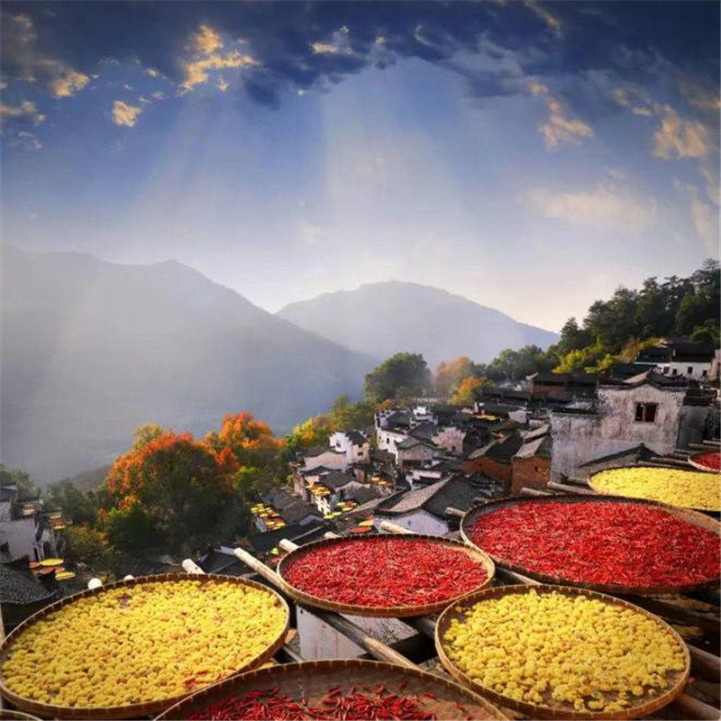 【皖南五星纯玩】徽州古城+婺源篁岭+黎阳水街品质2日游