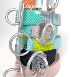 Fashionable Design and Development of Collars for Small and Medium-Sized Dogs, Pet Dog and Cat Collars, Dog Leash Collar