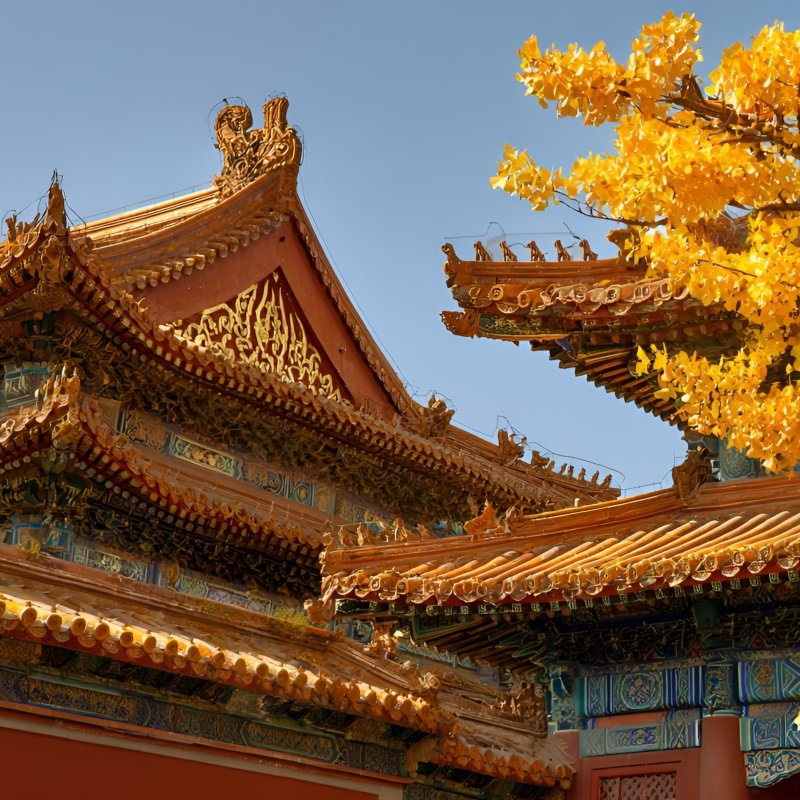 北京一日游 北京故宫博物院含门票含讲解可选上下午场探秘紫禁城