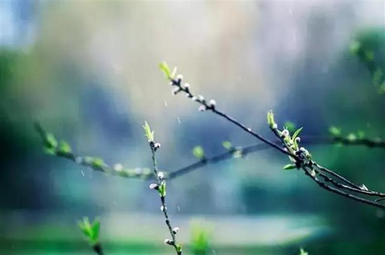 摄影 | 春天到了,这些摄影题材最容易出片-长沙SEO霜天