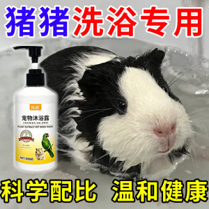 
Guinea Pig Shower Gel Deodorizing Special Guinea Pig Guinea Pig Shower Gel Antibacterial Deodorizing and Mite Removing Guinea Pig Bathing Supplies
