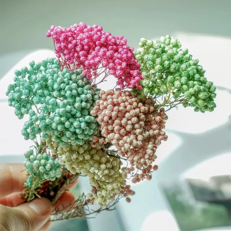 手工diy永生花材料制作香薰蜡烛小米花干花束车挂点缀配饰2克装