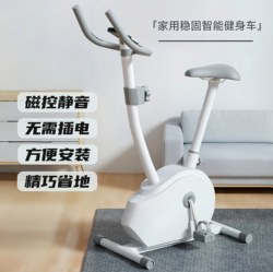 Dynamic Bicycle with Magnetic Control, Silent, for Weight Loss and Exercise, Small Home-Use Bicycle, Indoor Sports Gym Equipment