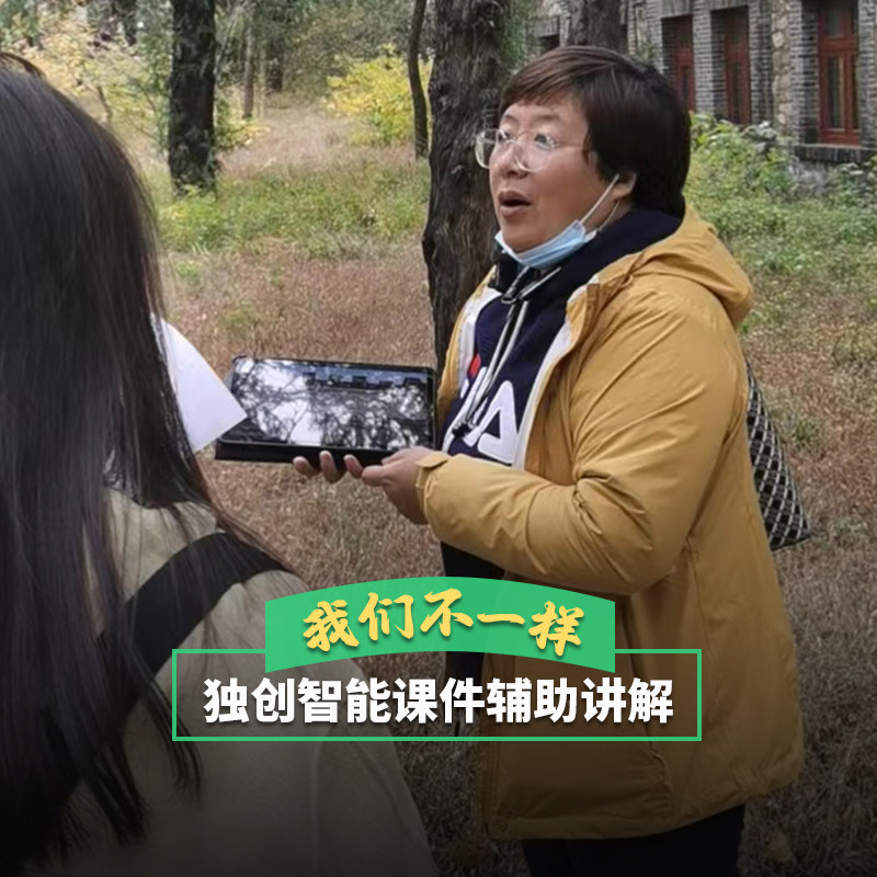 三毛游◆黄鹤楼讲解 2.5H 金牌导游 湖北武汉一日游 12人VIP团