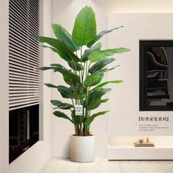 Bird of Paradise Artificial Green Plant Decoration Fake Flowers for Living Room High-End Large Tv Cabinet Side Bionic Plant Fake Flower Potted Plant