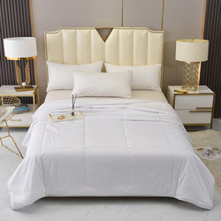 Feather Velvet Soft Quilt Hotel Guesthouse Quilt Core Summer Quilt Air Conditioning Quilt Spring and Autumn Quilt Winter Quilt 1.9m / 2.2m Quilt Core