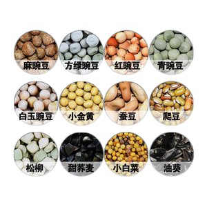 
Sprouts, beans, wheat, hydroponics, planting, four seasons, white green, peas, yellow green, black beans, radish seedlings, oil, sunflower