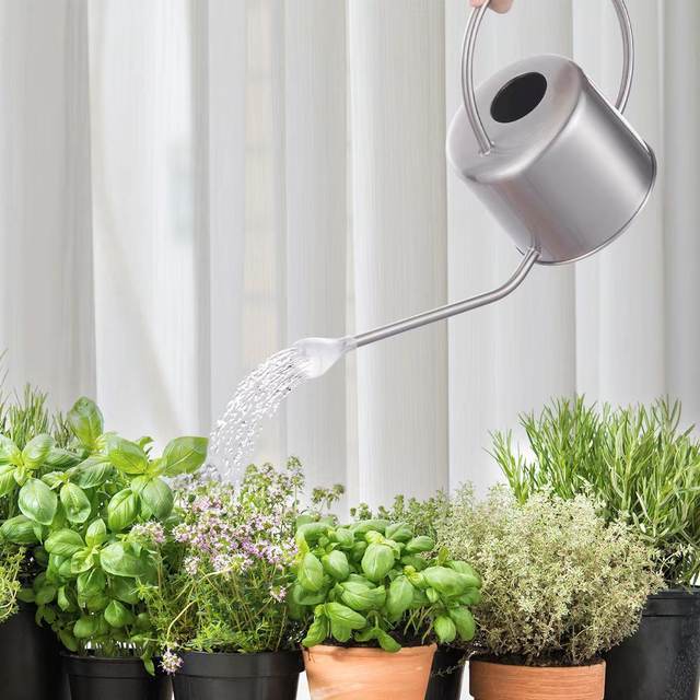 Long mouth watering kettle for watering flowers, household large-capacity flower kettle, large gardening succulent pointed mouth sprinkler kettle for watering vegetables
