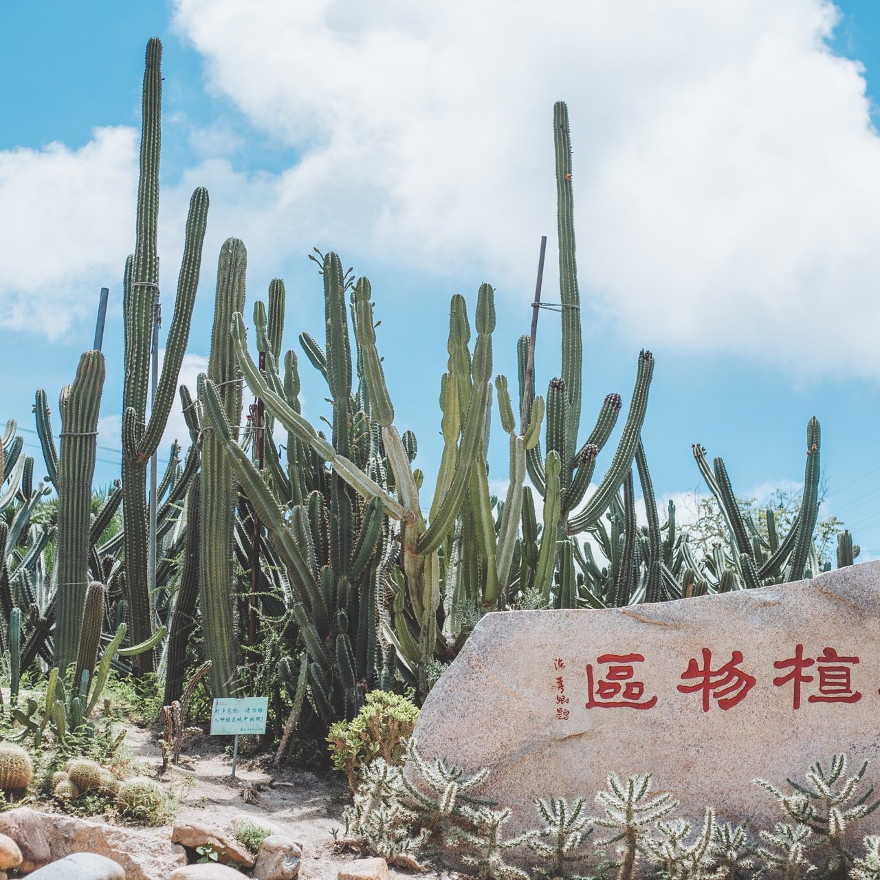 厦门漳州泉州旅游6天5晚鼓浪屿云水谣土楼开元寺环岛路帆船出海