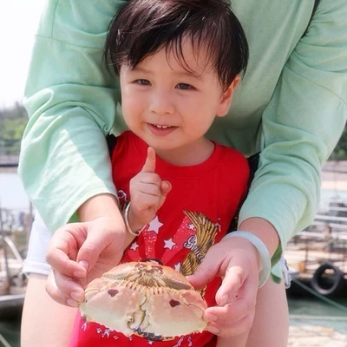 厦门漳州旅游5天4晚鼓浪屿云水谣土楼小嶝岛赶海帆船沙滩