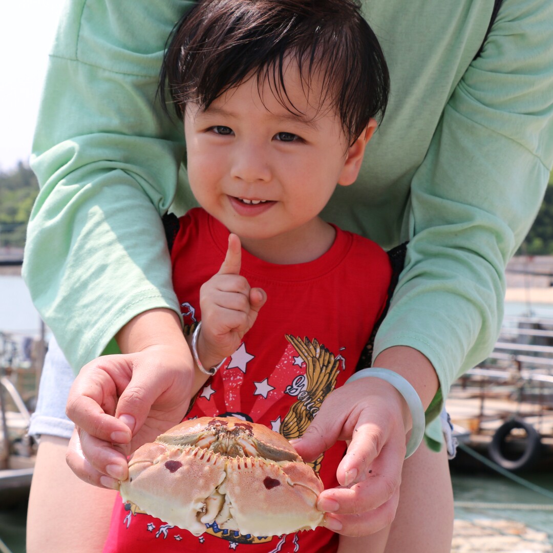 厦门旅游3天2晚亲子跟团游 12人纯玩小团 鼓浪屿小嶝岛赶海海鲜餐