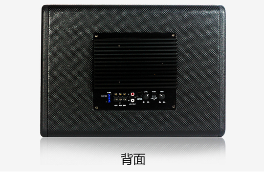 Bannaex 10 アクティブカーサブウーファー - 800W ラダー