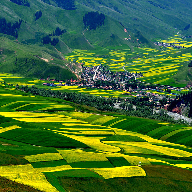 青海旅游拼车3日游青海湖/茶卡盐湖/祁连大草原卓尔山西宁