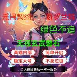 Valorant Co-Streamer's Same Type of Auxiliary Tool for Pc, Stable for Valorant Main Account on Chinese Server, with a Premium Card
