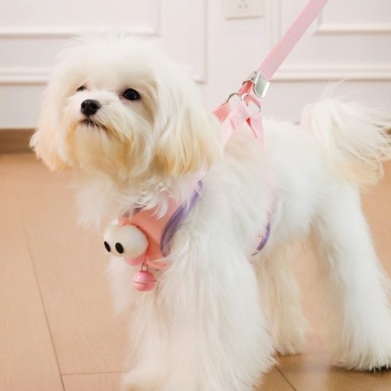 
Cute little bell dog leash pet small dog walking rope vest type anti-breakaway harness