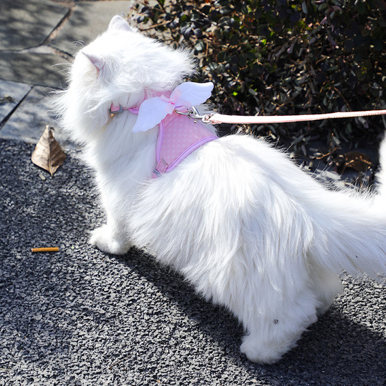 
Special harness for cats going out, pet dog and kitten traction rope, I-shaped anti-run, adjustable cat walking rope