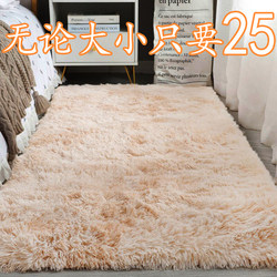 Carpet, Bedroom Bedside Rug, Living Room Full Coverage Large Area Rug, Mat, Home Use, Girl's Room, Dormitory, Guesthouse Floor Mat