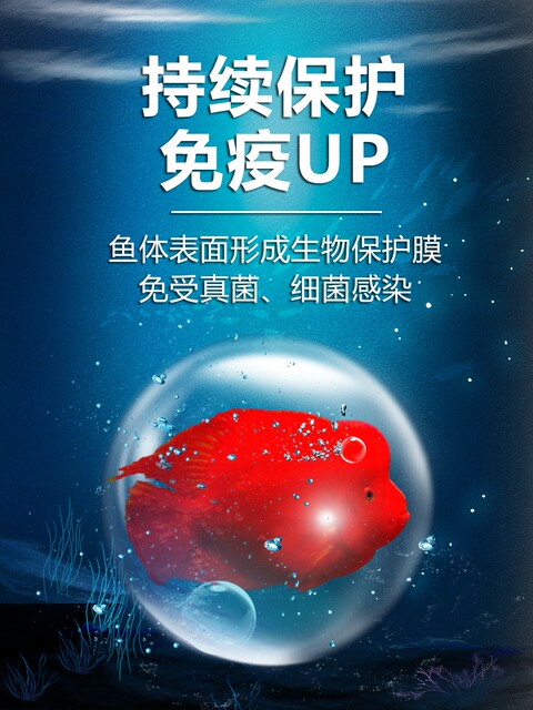 Blood parrot fish special medicine rotten black spots, black spot head, blindfolding fish, fish medicine, universal disease treatment white dot net
