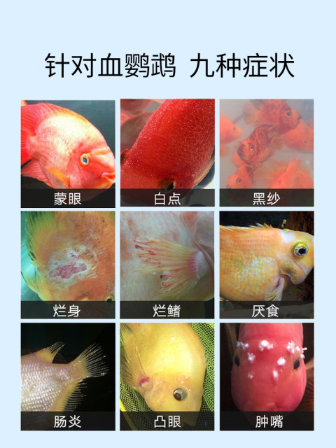 Blood parrot fish special medicine rotten black spots, black spot head, blindfolding fish, fish medicine, universal disease treatment white dot net
