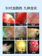 Blood parrot fish special medicine rotten black spots, black spot head, blindfolding fish, fish medicine, universal disease treatment white dot net

