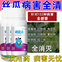 Loofah Fungicide Loofah Disease Whole Cure Special Fungicide Kill Pink Powdery Mildew Anthracnose Downy Mildew